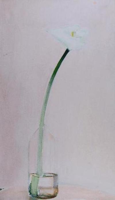 Kalia delikatna, 2000
