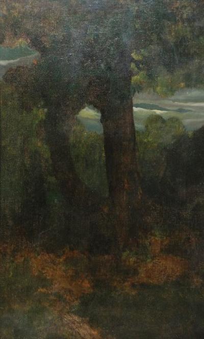 Drzewa, ok. 1888