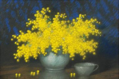 Mimozy