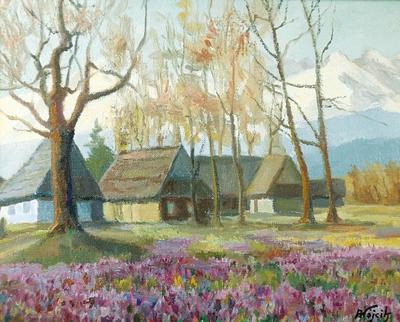 Krokusy