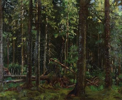 Puszcza Świsłocka, 1933