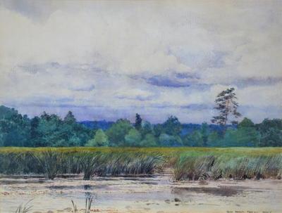 Mokradła w Mrozach, 1902