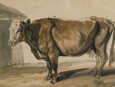 Krowa, ok. 1840-48 (?)