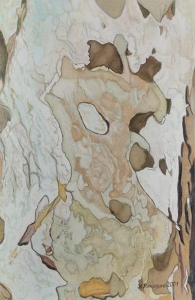 Kora platanu. Flecista II, 2001