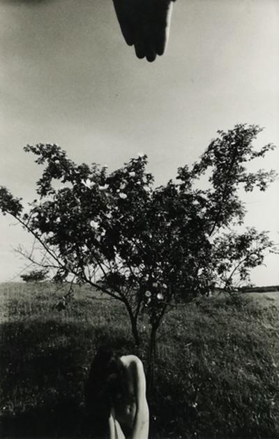 Bez tytułu