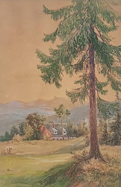 Widok na grzbiet Karkonoszy