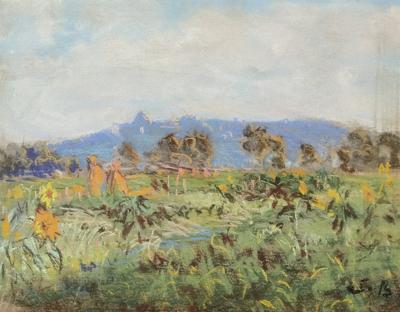 Błonia krakowskie