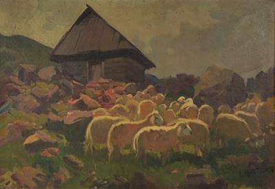 Owce i bacówka