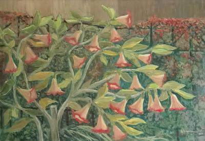 Datura w ogrodzie, 1960