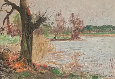 Drzewa nad wodą