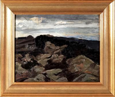 W Dolinie Gąsienicowej, 1905