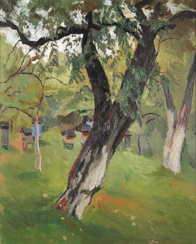 Jabłoń - Wola Radziszowska