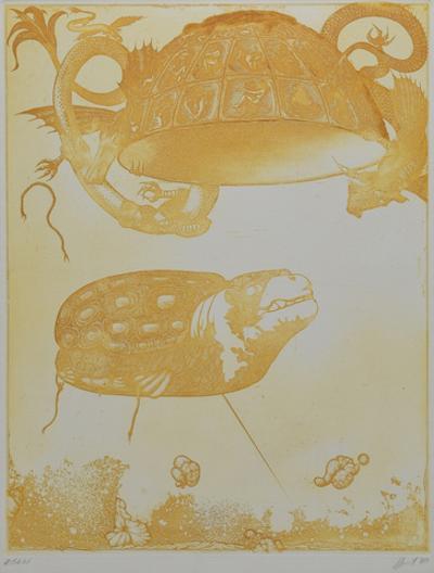 Żółw, 1980