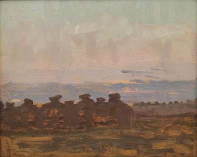 Mendle w polu, ok. 1906