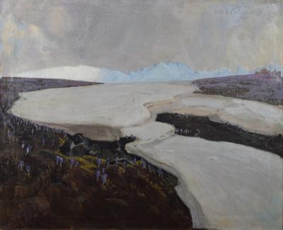 Krokusy