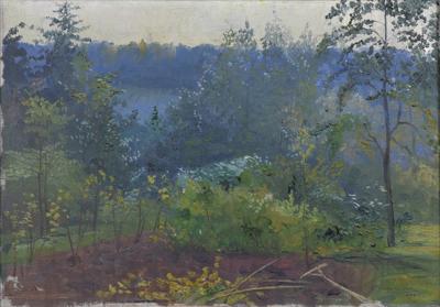 Pejzaż, 1905