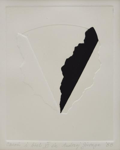 Czerń i biel VI, 1988