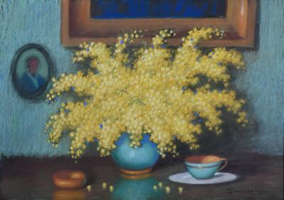 Mimozy