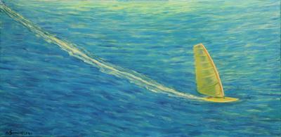 Windsurfing, 2005