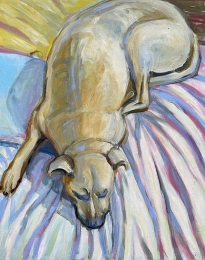 Pies- Sen Beksia, 2017