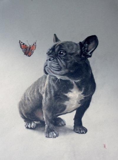Arnold & Butterfly