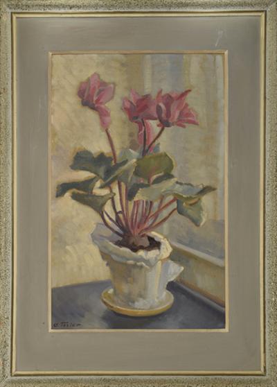 Cyklamen