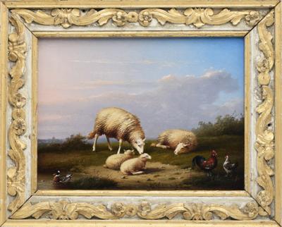 Owce, 1871
