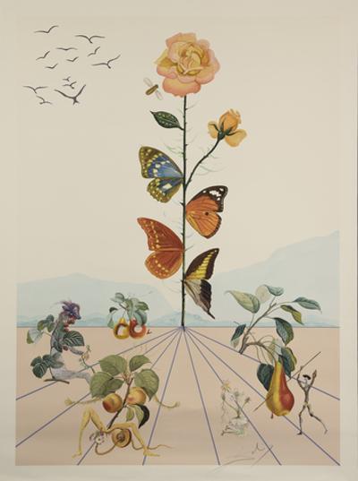 Flordali - Les Fruits II