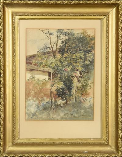 Fragment ogrodu