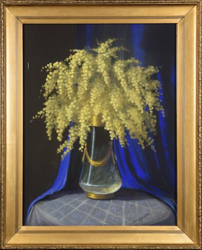 Mimozy