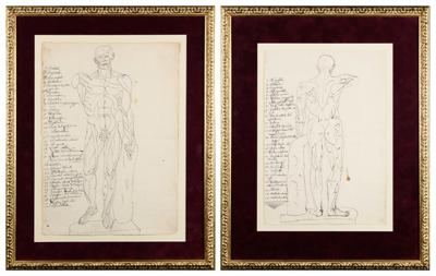 Anatomia człowieka - para rysunków
