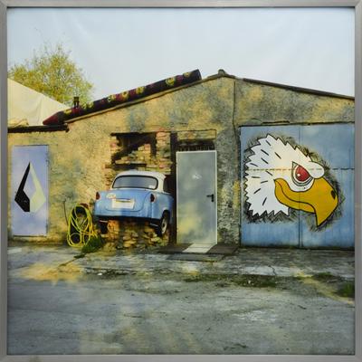 Z cyklu "Życie po życiu"/Life after life, 2007