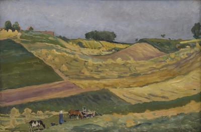 Żniwa, 1965