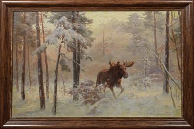 Łoś w kniei