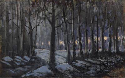 Park nocą