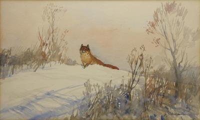 Lisek