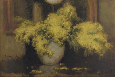 Mimozy