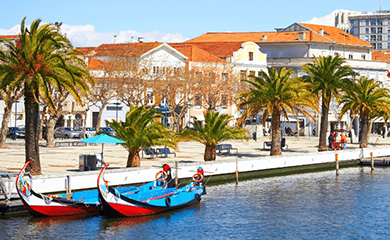 media/banners/mobile-Aveiro-banner.jpg