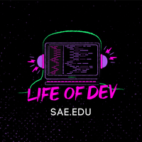 Life of Dev