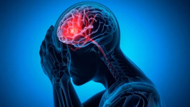 Aprendizaje del dolor y memoria corporal: implicaciones para la práctica diaria