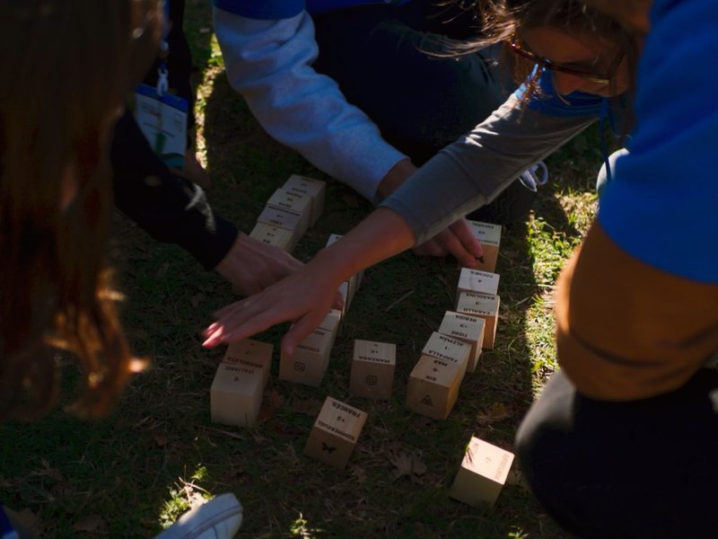 Organiza tu actividad de team building en Toledo