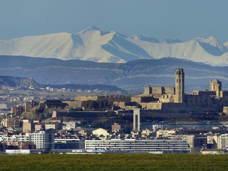 How to Choose the Best Team Building Activity for Your Team