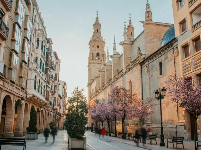 Team building en Logroño: experiencias corporativas para unir y potenciar equipos