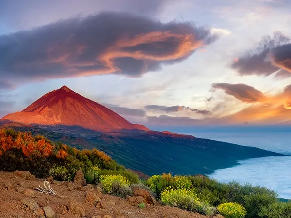 Team building en Canarias: experiencias corporativas para unir y potenciar equipos