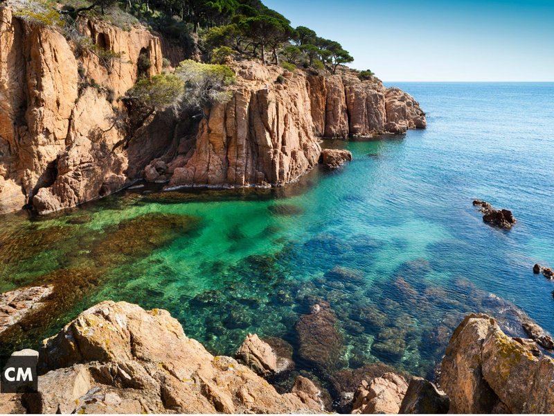 How to Choose the Best Team Building Activity for Your Team