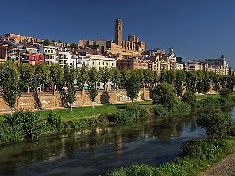 Tipus d'activitats de team building a Lleida