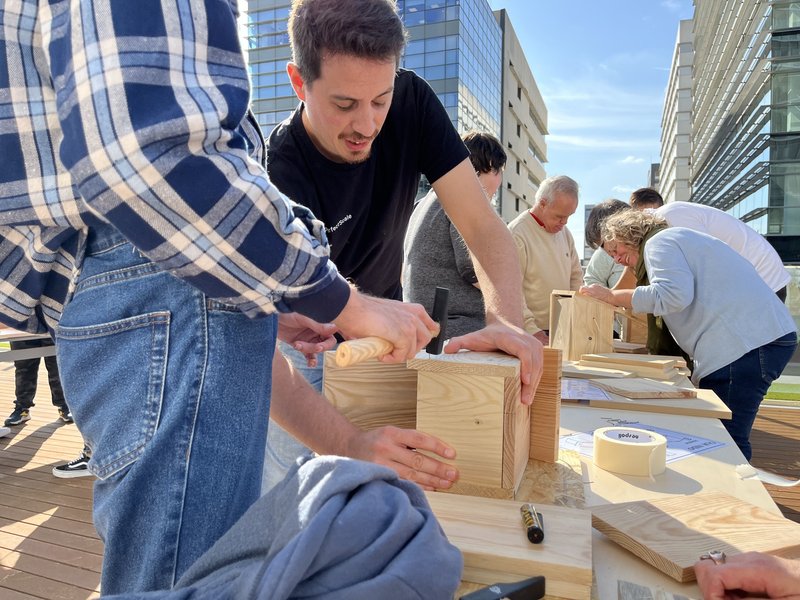 Sustainable team building activities for companies in Madrid