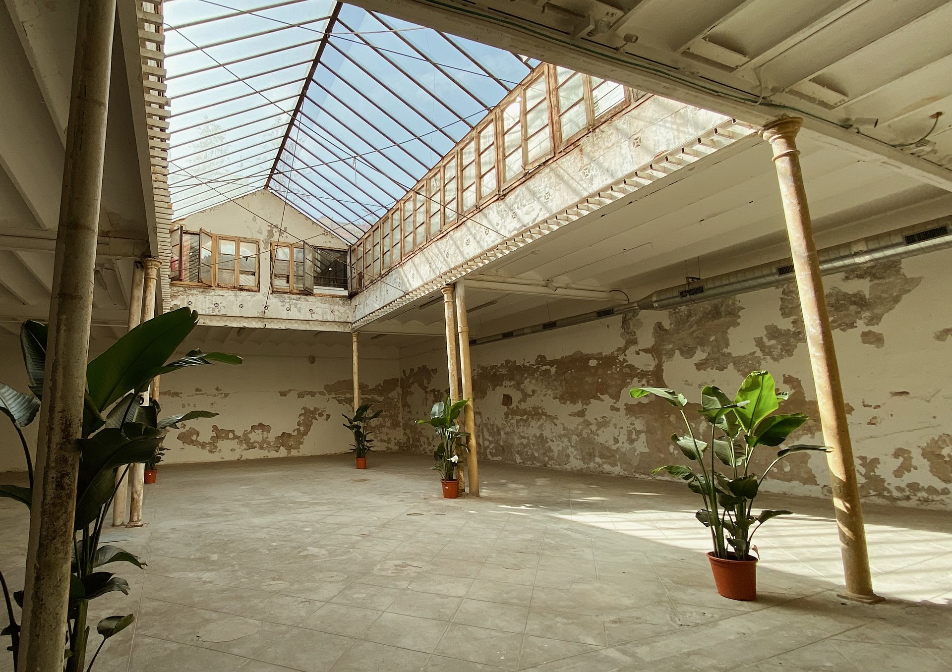 Casa Rius