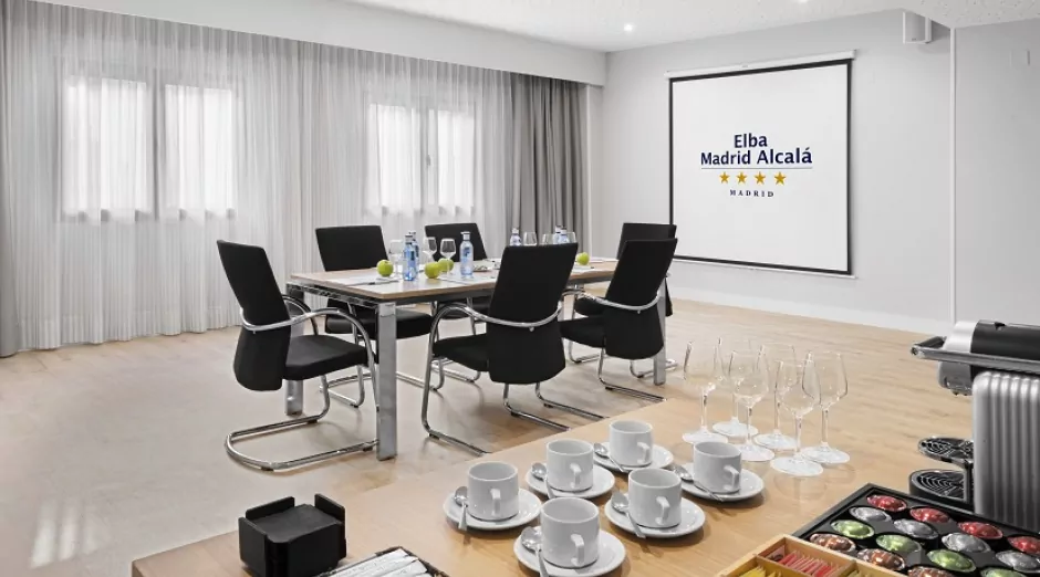 Hotel Elba Madrid ciudad Alcalá - Image 3