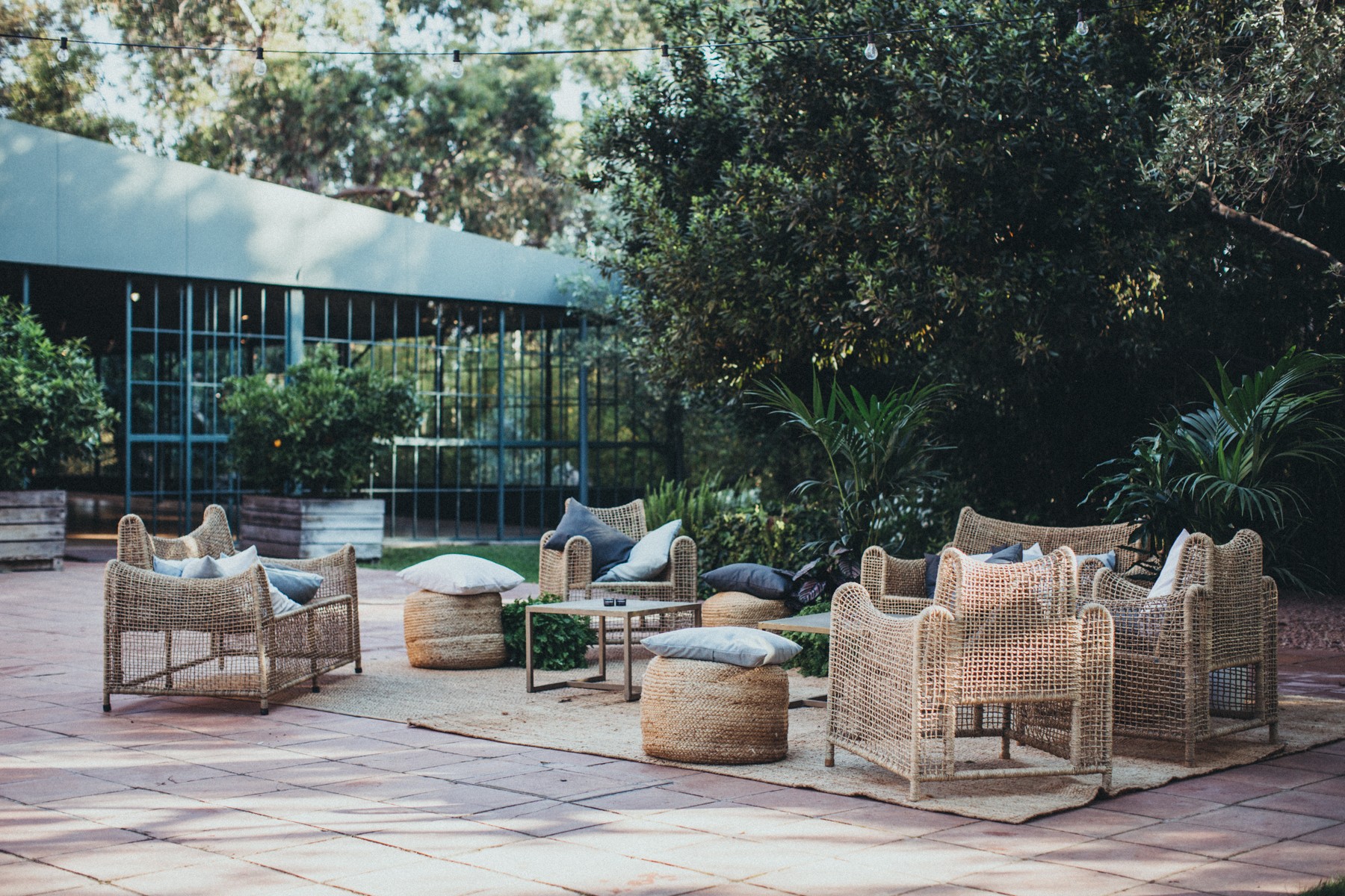 La Centenaria - Image 3